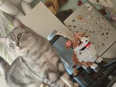-平行世界·猫咖(首经贸店)