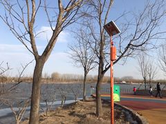 -东郊湿地公园