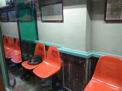 -猫咪博物馆(顶澳仔猫街店)