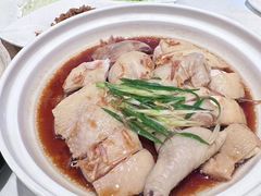 姜葱白切鸡-山东老家(科韵分店)