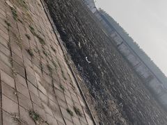 -杨柳青园艺科技博览园