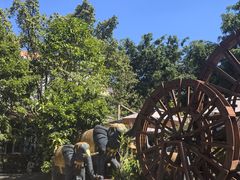 -品德宏·孔雀宴的发源地(金塔园店)