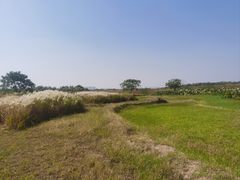 -盘龙城国家考古遗址公园