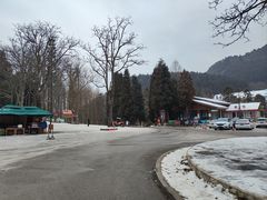 -武陵山森林公园