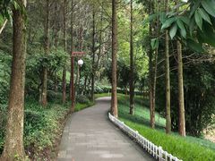 -重庆彩云湖湿地公园