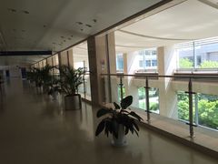 -天津市泰达医院