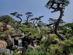 -罗红摄影艺术馆