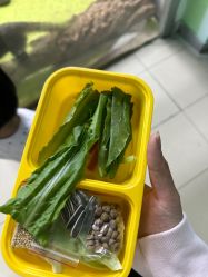 点击看大图 -未来动物城动物主题公园(大悦城店)