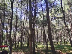 -Club Med地中海俱乐部·桂林度假村