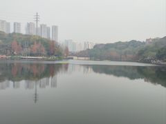 -重庆彩云湖湿地公园