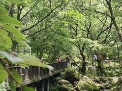 -牛背梁国家森林公园