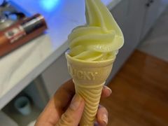-华馨园北京烤鸭(丽水店)