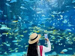 -海合安武汉极地海洋公园
