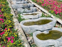 -永定河休闲森林公园