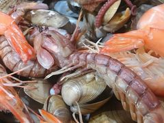 -大锅强·蒸海鲜青岛菜(吾悦广场店)