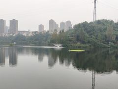-重庆彩云湖湿地公园