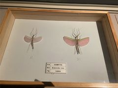 -台州博物馆
