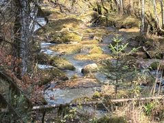 -汤旺河林海奇石景区