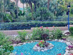 -九龙公园