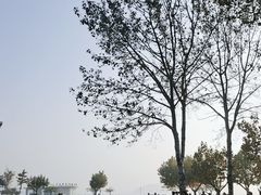 -傅家庄公园