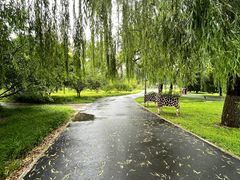 -莲花池公园