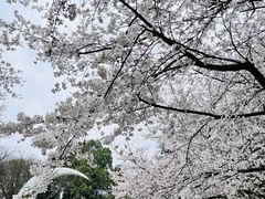 -杭州少年儿童公园