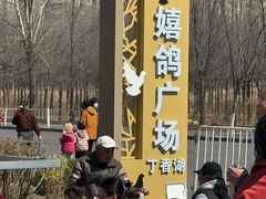 -丁香湖公园