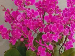 -长安记·大美陕菜(大族广场店)