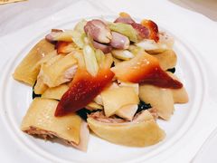 北极贝捞白切鸡-朱仔记食府(江南大道店)