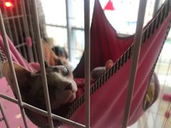 -昆明大悦城未来动物城(螺蛳湾中心店)