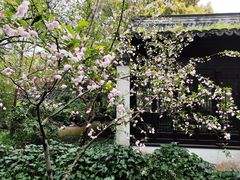 -惠山古镇·寄畅园