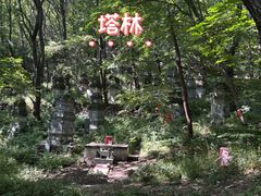 -赤山风景区