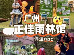 -正佳雨林生态植物园