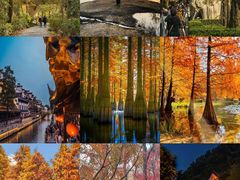 -南京银杏湖乐园