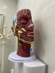 -杭州奥拉克医疗美容门诊部