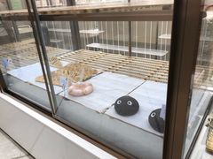 -奈雪的茶(华侨城创意园店)