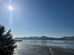 -西堤公园