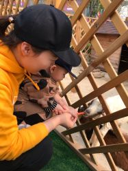 -萌宠亲子动物乐园(槐房万达店)