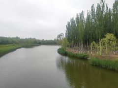 -大兴滨河森林公园