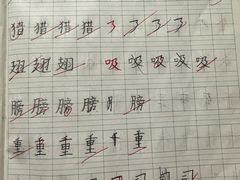-赵汝飞练字硬笔书法(静安大融城校区)