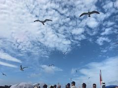-海驴岛(荣成市)