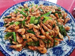 韭菜炒河虾-生态苑农庄(十里画廊遇龙河店)