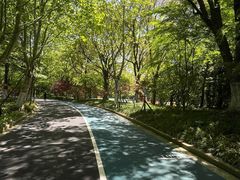 -上海吴淞炮台湾国家湿地公园