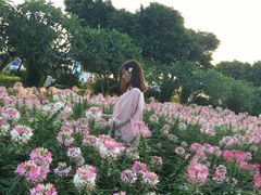 -广州花之恋城堡酒店
