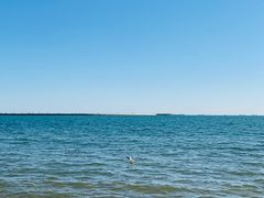 -金梦海湾浴场