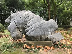 -东湖落雁景区