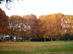 -河南省黄河迎宾馆