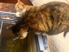 -新荟城(望京店)