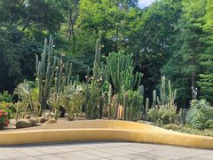 -深圳仙湖植物园