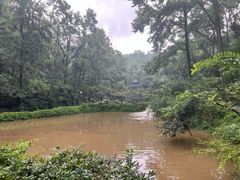 -岳麓山风景名胜区